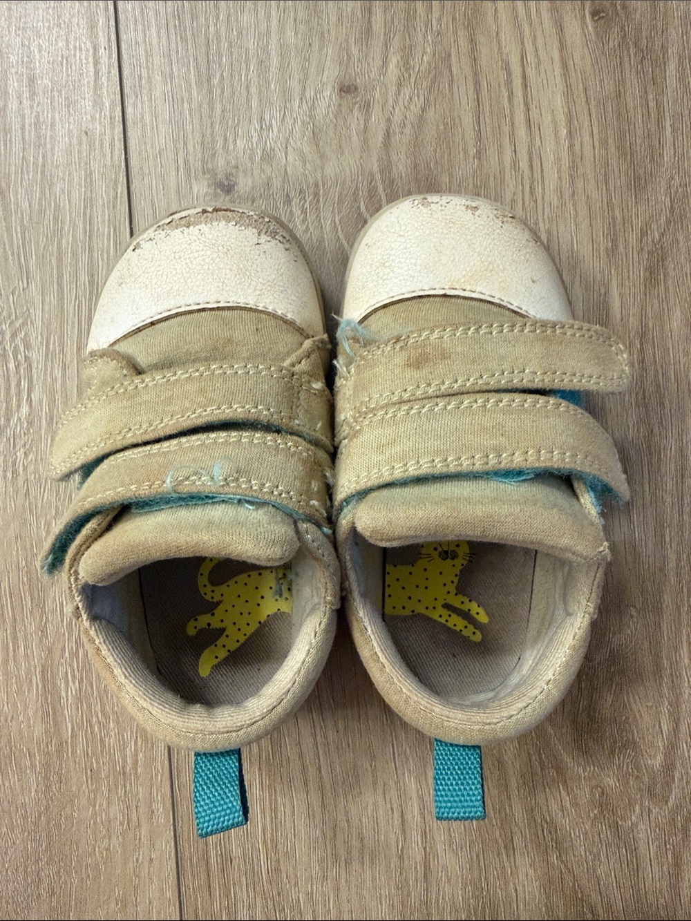 Kids Green and White Velcro Sneakers with Teal Pull Tab